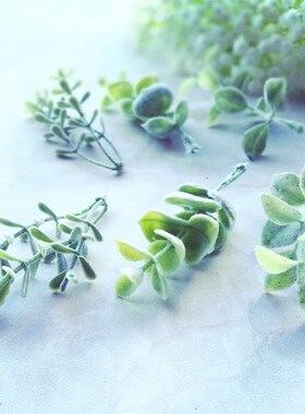 花海大世界植绒绿植白霜仿真花