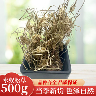 中药材 精选无硫水蜈蚣 水蜈蚣草 金钮草 寒气草 三荚草500克包邮