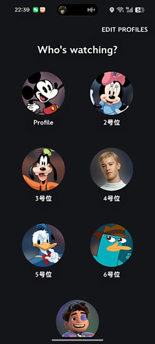 迪士尼+Dinesy plus影视 独立车位 全区解锁全可用独享自动发货