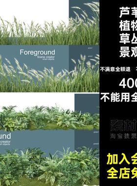 小麦植物ps芦苇植物草丛景观背景海报蕨类麦穗绿色植物草丛芦苇