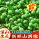 山胡椒新鲜现摘2025农家野生现采保鲜山胡椒500g四川木姜子调料
