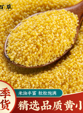 寻百草新米黄小米500g