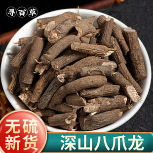 寻百草野生八爪金龙中药材500g八爪龙八爪根百两金开喉箭铁雨伞