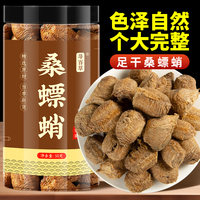 尋百草秦嶺桑螵蛸螳螂子中藥材