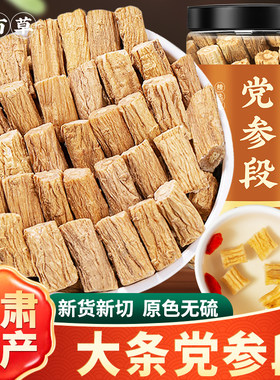 寻百草甘肃岷县党参菊花心明显