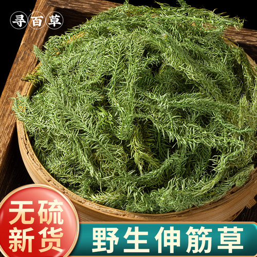 野生伸筋草500克干净无杂新货