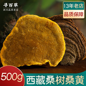 寻百草中药材桑黄西藏野生正品 桑树桑黄灵芝干货优选500g