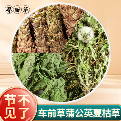 蒲公英夏枯草车前草组合