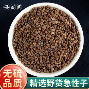 寻百草野生急性子中药材500g凤仙花籽指甲花籽正品新货精选急性籽