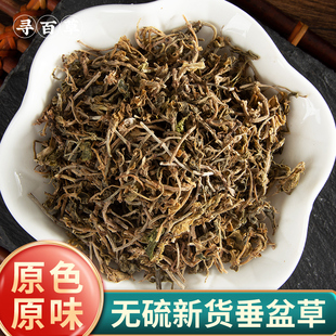 寻百草 垂盆草中药材新货 垂盆草干药用食用 无硫500克包邮锤盆草