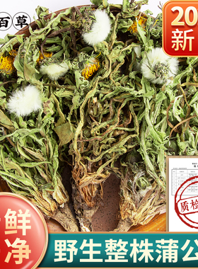 寻百草蒲公英中药材正品500g野生整株蒲公英新蒲公英根夏枯草郁金