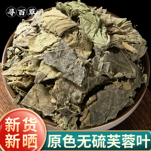 寻百草野生芙蓉叶中药材500g新鲜木芙蓉叶子芙蓉花叶拒霜叶地芙蓉