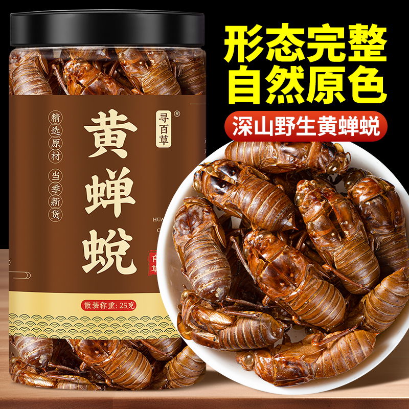 寻百草野生蝉蜕 蝉脱中药材 蝉蜕壳蝉壳蝉衣蝉皮蝉退虫退知了壳皮