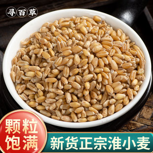 寻百草淮小麦中药材500克 新货甘麦大枣汤原料正品淮小麦甘草大枣