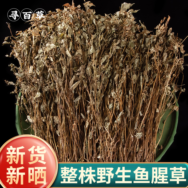 四川农家野生新鲜鱼腥草
