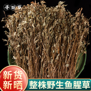 鱼腥草中药材新鲜折耳根农家鱼腥草干货天然野生鱼腥草茶泡水喝
