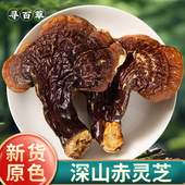 寻百草灵芝赤灵芝100g官方正品 中药材非长白山野生赤灵芝泡酒专用
