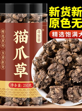 寻百草野生猫爪草500g中药材新鲜车前草猫爪草夏枯草蒲公英郁金