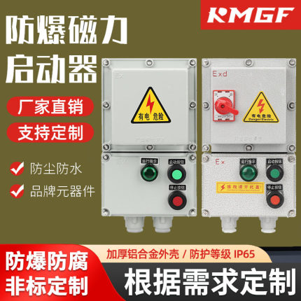 防爆正反转磁力启动器风机水泵控制箱一路两路控制防水防尘配电箱