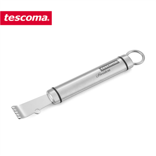 捷克tescoma 不锈钢柠檬刨丝器 多用途柠檬皮擦丝刀 美食装饰工具