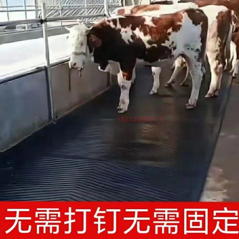 防滑地垫河北橡胶防水耐磨铺牛圈