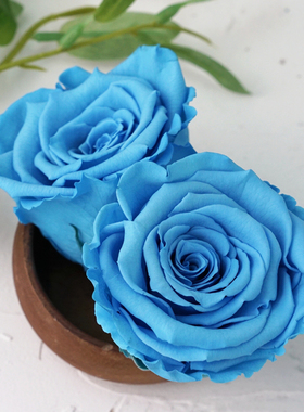 进口roseamor厄瓜多尔永生花BLU-01diy车挂玫瑰5-6cm大号单朵