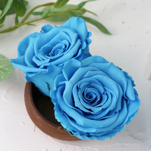 进口roseamor厄瓜多尔永生花BLU-