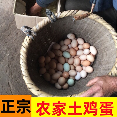 40枚新鲜鸡蛋正宗农家散养大个土鸡蛋30枚天然农村初生土鸡蛋