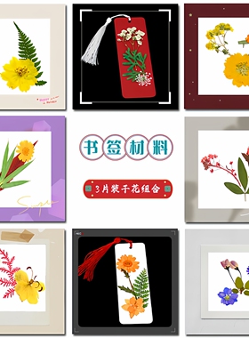 干花压花书签材料包DIY植物标本