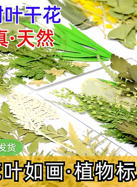 DIY压花幼儿园树叶装饰手工贴画