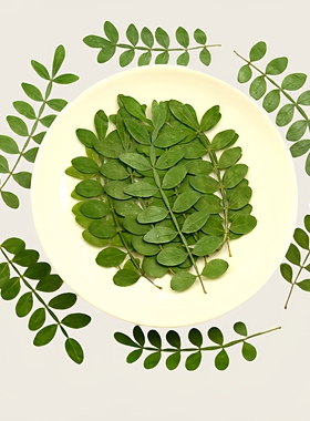 胡椒木干树叶diy儿童手工材料