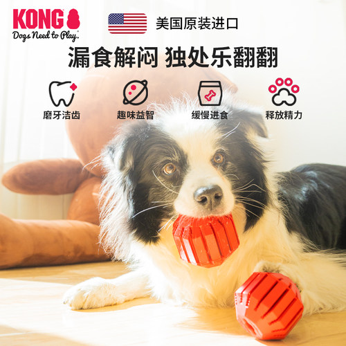 KONG漏食球狗玩具耐咬磨牙活力球