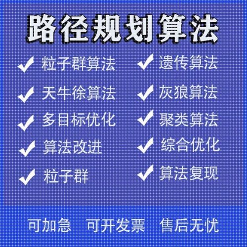 matlab路径规划遗传蚁群粒子群算法代做Python强化学习多目标优化