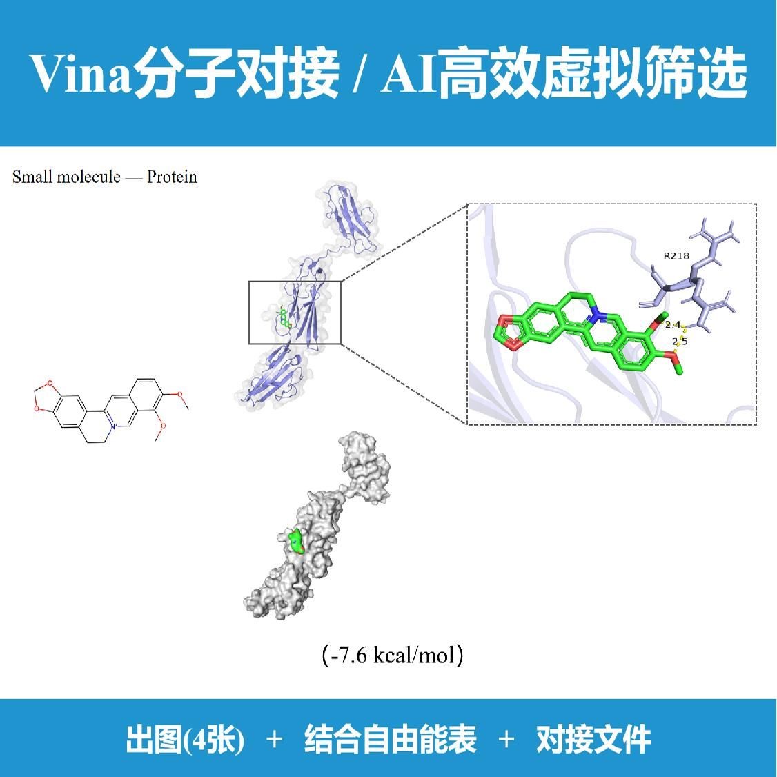 分子对接Vina/虚拟筛选Vina+高效AI图片