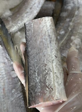 自家渔船海捕(小带鱼段)肉质嫩味道鲜煎着吃非常好吃(特价180十斤