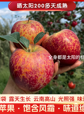 云南昭通冰糖心丑苹果产地直发脆甜多汁新鲜水果整箱5/10斤包邮