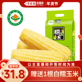 析芮东北有机白糯玉米礼袋款 李佳琦年货补给专场 真空包装