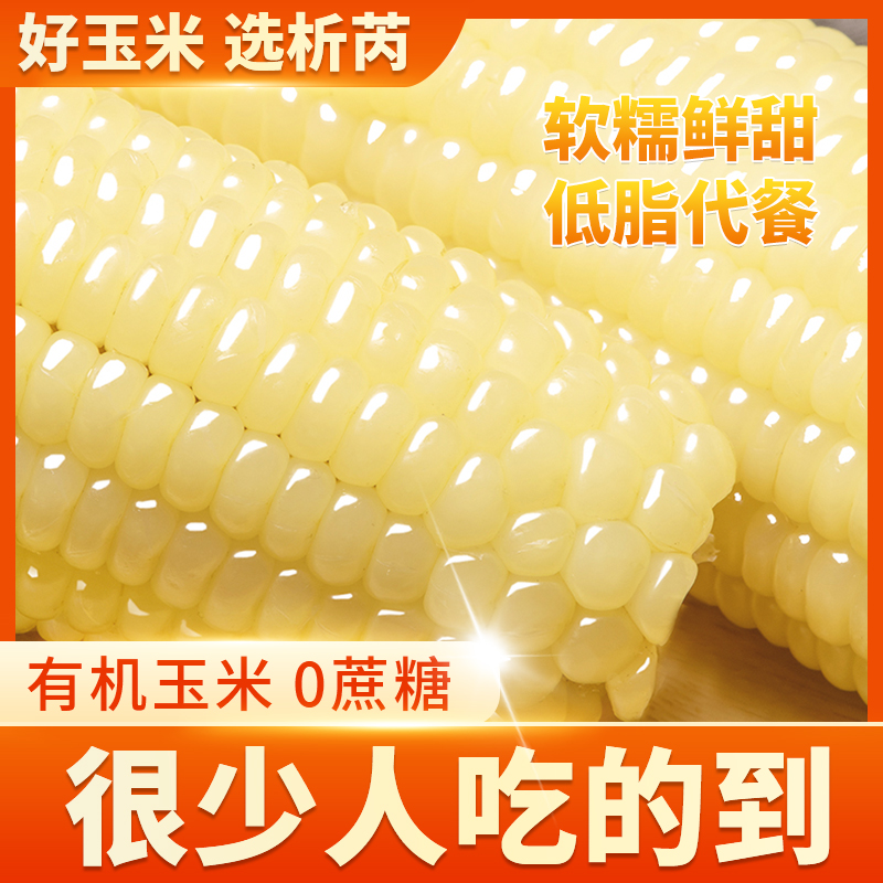 析芮东北玉米糯玉米棒新鲜真空装包加热即食香甜粘黏糯白苞米