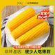 析芮东北黄糯玉米10根 玉米软糯香甜真空甜黏粘新鲜粗粮代餐