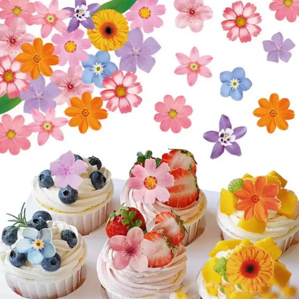可食用糯米纸花朵蛋糕厨房菜品摆盘点缀提拉米苏马卡龙烘焙装饰