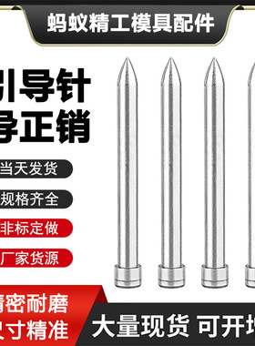 模具引导针SKD11导正销尖钉头导正钉冲针定位针冲头导向非标定制