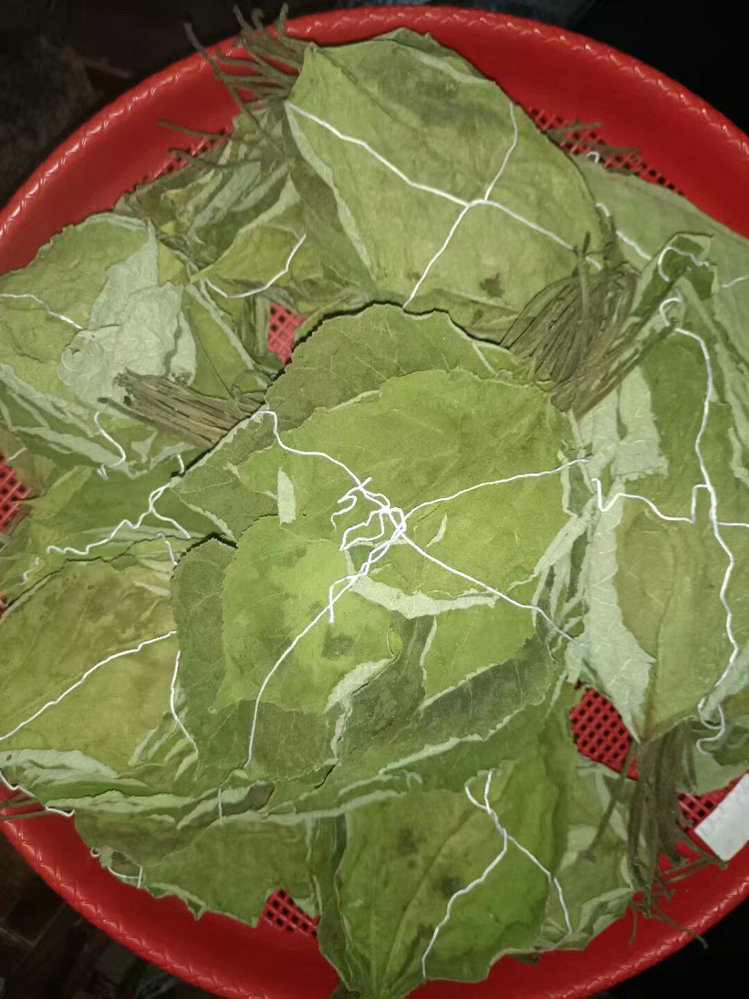 中药材构树叶褚实叶假杨桃叶自然晒干100克