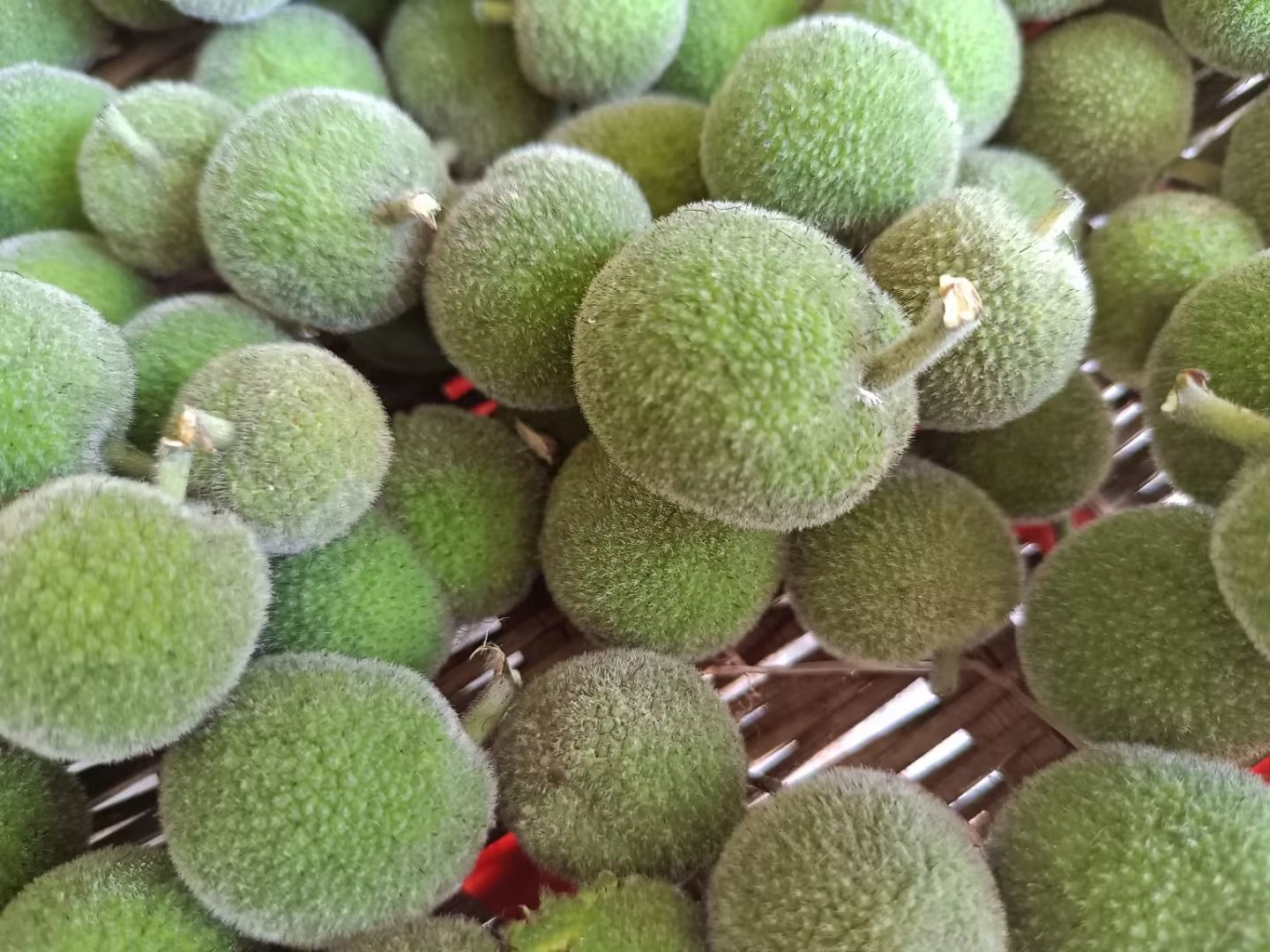 楮实 中药材 构树果红心自然晒干无添加100克构树籽100克