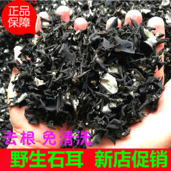 特价包邮500克免洗剪根岩耳安徽九华山特产野生石耳黄山石衣石皮