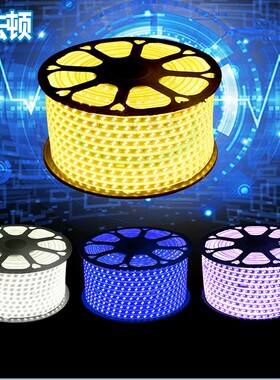 led灯带客厅吊顶家用七彩变色线灯超亮防水灯条220v户外树装饰灯