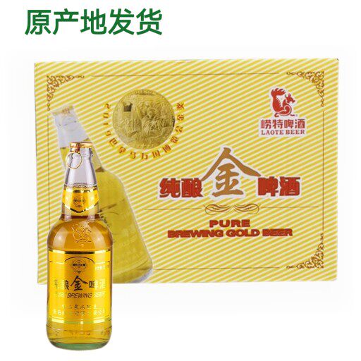 青岛特产崂特纯酿金啤酒500ml*12/箱崂山泉水酿造青岛发货