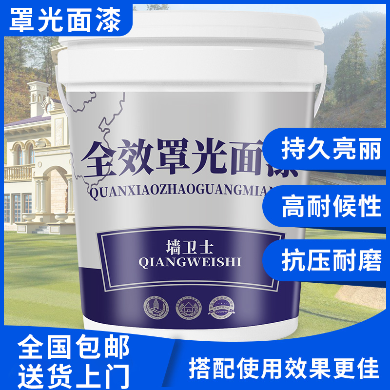 水性真石漆罩光漆防水透明18L