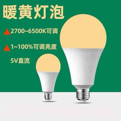 5V直流灯泡2700K暖光可调光球泡