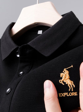 中年爸爸装春秋季plol男士新款POLO衫长袖t恤衬衫上衣秋衣外穿土