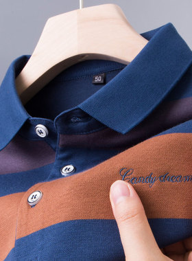 男士婆罗POLO衫长袖t恤条纹爸爸paolo春秋装poli中年plol上衣poll